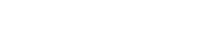 © 2021 Pluis&Co. webdesigner: John Jongerius