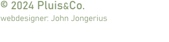 © 2024 Pluis&Co. webdesigner: John Jongerius